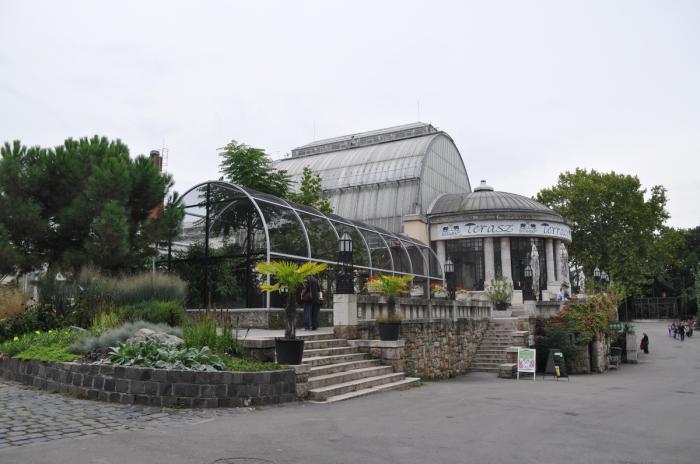 budapesti pálmaház - télikert Bp