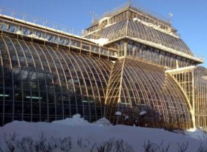 Komarov botanikus intézet