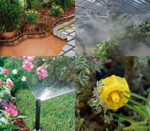 Télikerti növények öntözése