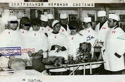 Demihov és Manujilov - Collie