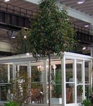  Télikert üveg terasz